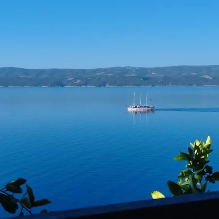 Vucak Stanici