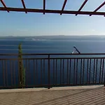 Vucak * Stanici