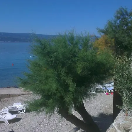 Vucak Stanici