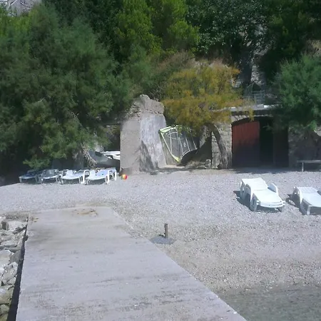 Vucak *