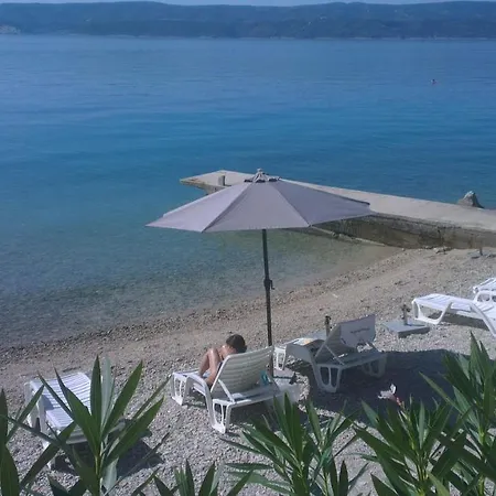 Vucak Stanici
