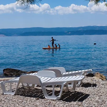 Vucak Stanici