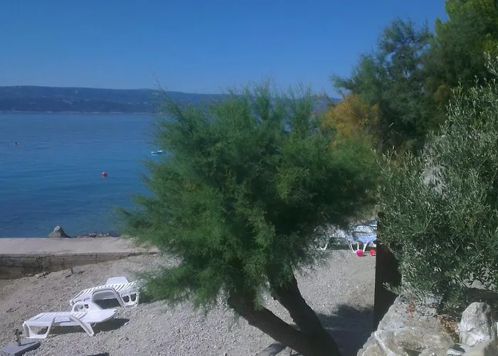 Vucak Stanici